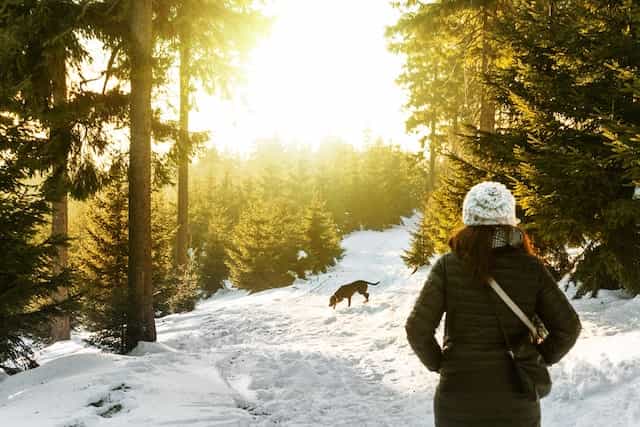 Snowmobiling Maine - Hiking