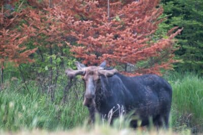 Route 201 Scenic Byway