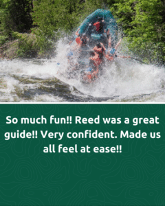Reed Wells