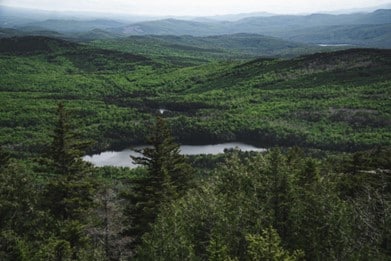 Moxie Mountain Trail