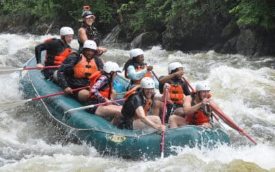 Meet Our Guides Julia Scott